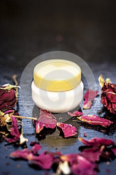 Cream of rose or rosa on wooden surface.