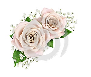 Cream roses and gypsophila flowers in a corner arrangement isolated