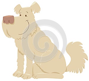 Cream shaggy dog cartoon photo