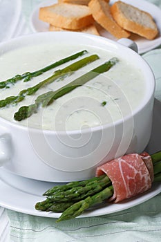 Cream soup of asparagus close-up and croutons.