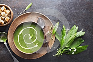 Cream Soup with fresh ramson or wild garlic leaves