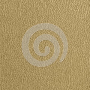 CREAM TAN LEATHER TEXTURED BACKGROUND