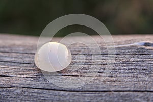 Cream white chalcedony agate gemstone on wooden background