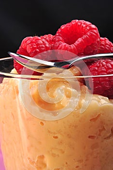 creamed rice pudding with raspberries
