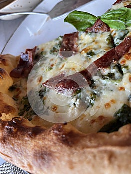 Creamy bacon and spinach pizza freshly baked from the oven