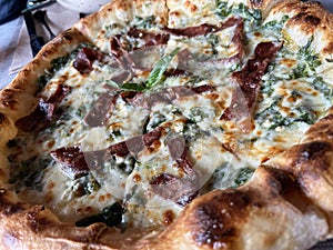 Creamy bacon and spinach pizza freshly baked from the oven