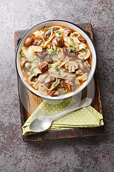 Creamy Beef Stroganoff Soup is made with tender chunks of beef, mushrooms and noodles in an extra-delicious broth in a bowl.