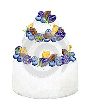 Creamy cake decorated with blueberries, blackberries and chocolate. Watercolor holiday clipart