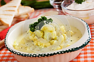 Creamy cauliflower soup photo