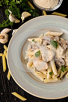 Creamy chicken and mushroom with penne pasta photo