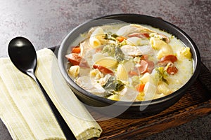 Creamy Chicken Sopas is a Filipino soup with pasta, vegetables, sausages and chicken close-up in a bowl. Horizontal photo