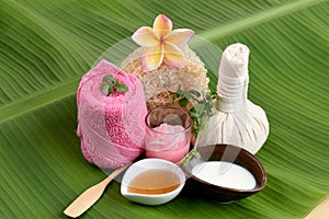 Creamy Fresh Herb Mask with fresh milk, Ivy Gourd and honey, spa with natural ingredients of Thailand.