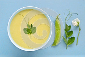 Creamy green pea soup - pea pod, flower, tendril.