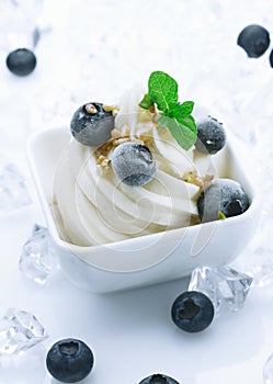 Creamy ice cream and fresh blueberries