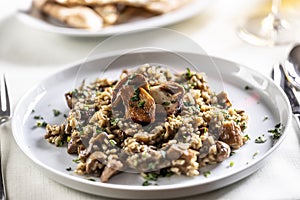 Creamy Italian mushroom risotto on a white plate