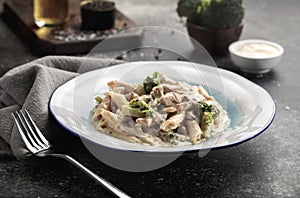 creamy penne chicken broccoli pasta served in a dish side view of fastfood