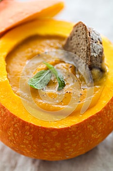 Creamy pumpkin soup puree in the whole squash on table ready to