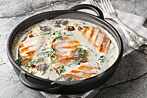 Creamy Tuscan Salmon is a simple but very richly flavoured dish with creamy garlic sauce sun-dried tomato and spinach closeup in