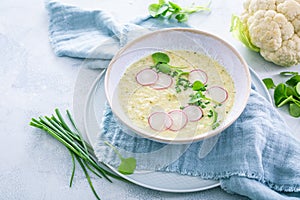Creamy white cauliflower soup with radish and chives, healthy food with herbs photo