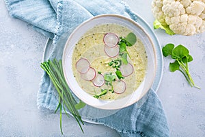 Creamy white cauliflower soup with radish and chives, healthy food with herbs