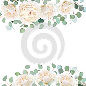Creamy white roses and silver dollar eucalyptus branches vector