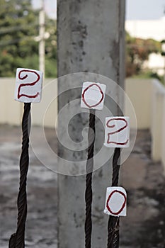 Create 2020 with almonds and flowers on pink background