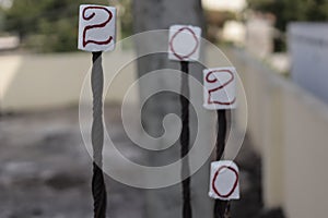 Create 2020 with almonds and flowers on pink background