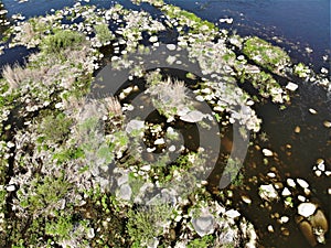 Rapids on Pivdenniy Bug river, drone view. Sokilets village, Nemyriv district, Vinnytsya region, Ukraine photo