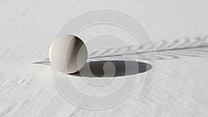 Creates a delicate interplay between light and shadow highlighting the