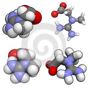 Creatine photo