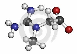 Creatine molecule, 3D rendering. Often used in food supplements. Atoms are represented as spheres with conventional color coding: