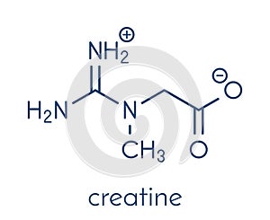 Creatine molecule. Often used in food supplements. Skeletal formula.