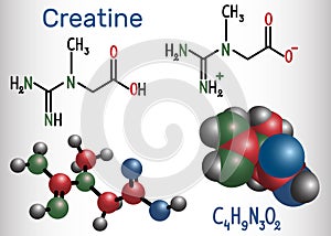 Creatine molecule. Structural chemical formula and molecule mode