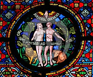 Creation of Adam and Eve photo