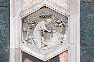 Creation of Adam, Florence Cathedral