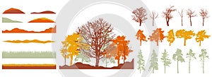 Creation of autumn beautiful park, forest, landscape, woodland, collection of design element. Constructor kit. Silhouettes of bare