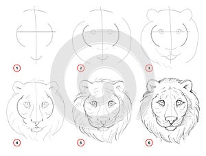 Creation step by step pencil drawing. Page shows how to learn draw sketch of imaginary cute tigers head.