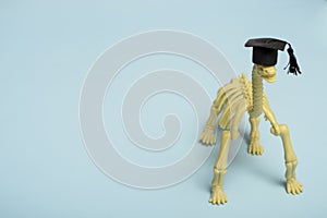 Creativ. denosaurus in graduation cap