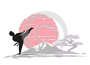 Creative abstract illustration of karate fighter