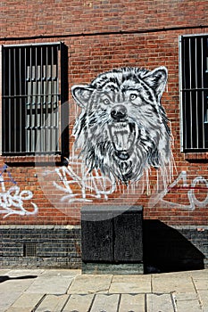 Street art of a snarling Wolf