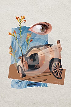 Creative abstract template collage of car automobile driving female eye watching flower weird freak bizarre unusual