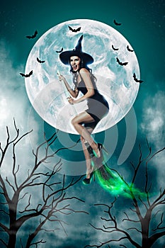Creative abstract template graphics image of lady witch flying broom stick moonlight isolated drawing background