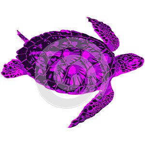 Artistic illustration of a large swimming sea turtle photo