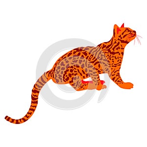 Artistic illustration of a sitting ocelot watching possible prey photo