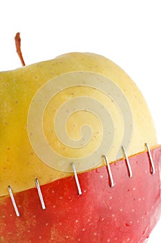 The creative apple