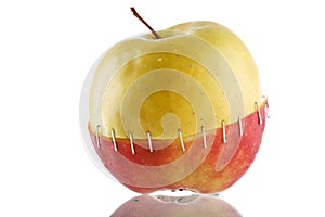 The creative apple