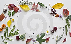 Creative arrangment made of autumn leaves