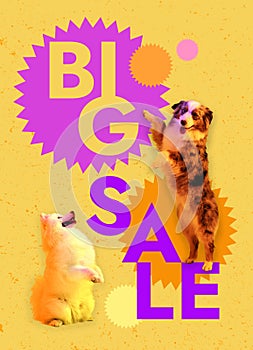 Creative art design. Conceptual image. Beautiful dogs sitting over yellow background. Big sale poster. Advertisement