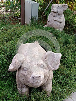 Creative art of stone pig statues. In Chinese culture, pigs are a symbol of fertility and virility, good luck and prosperity