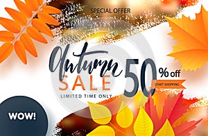 Creative autumn background with colorful leaves and brush stroke. Sale banner template Fall seasonal poster or card. Vector illust